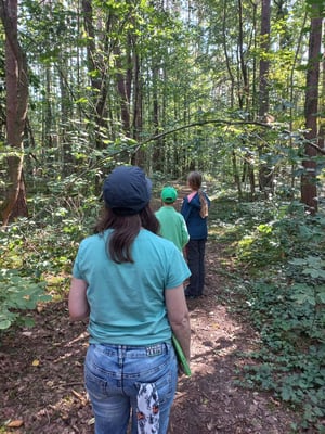 Was beobachten wir auf dem Weg durch den Wald