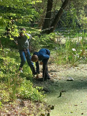 Beobachtungen am Teich