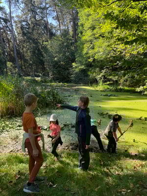 es wird gekäschert......