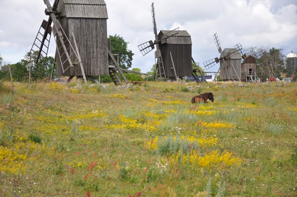 Schweden, Öland, Windmühlen bei Lerkaka