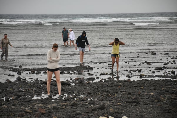 Kap Verden, Insel Sal, Haifischbucht