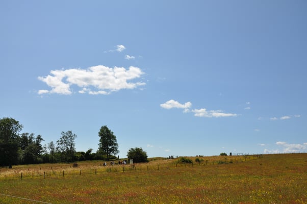Schweden, Ales Stenar