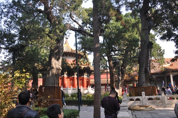 China, Peking, Verbotene Stadt - Kaiserpalast