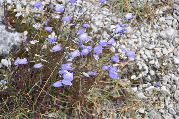 Schweden, Insel Farö, Rauk Gebiete
