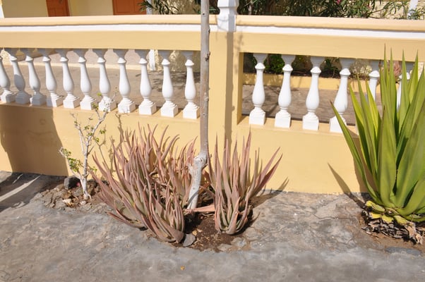 Kap Verden, Insel Fogo, Sao Felipe