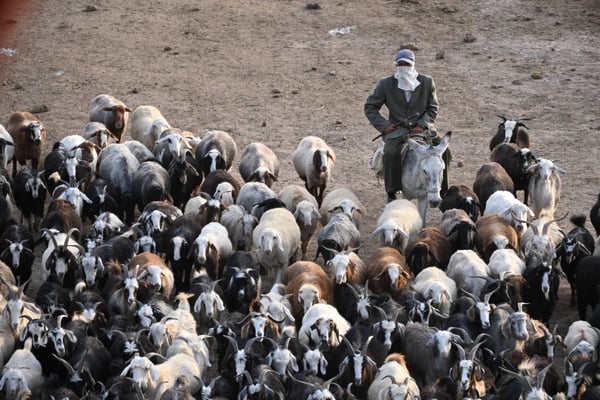 Turkmenistan, Auf dem Karakorum Highway