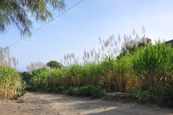 Kap Verden, Insel Santo Antao