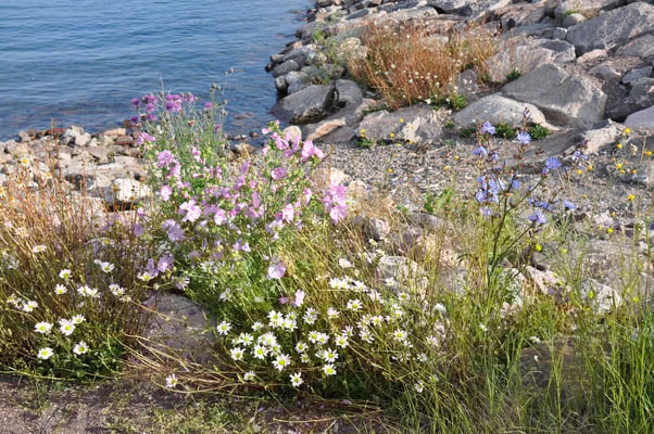 Schweden, Gränna, Campingplatz
