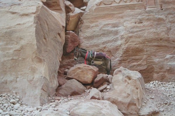 Jordanien, Petra