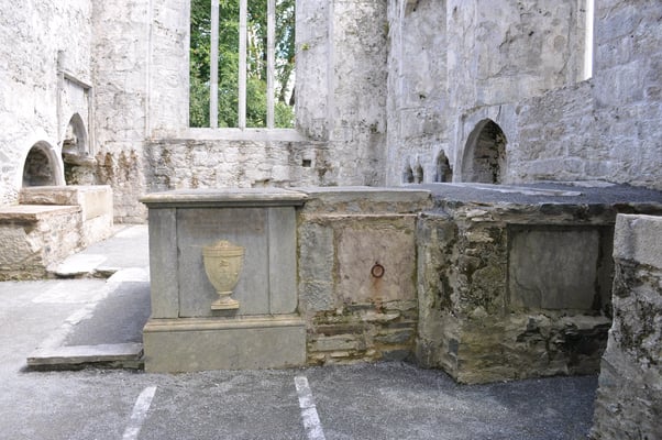 Irland, Muckross House Abbey