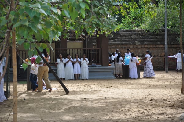 Sri Lanka: Anuradhapura, Jaya Sri Maha Boddhi