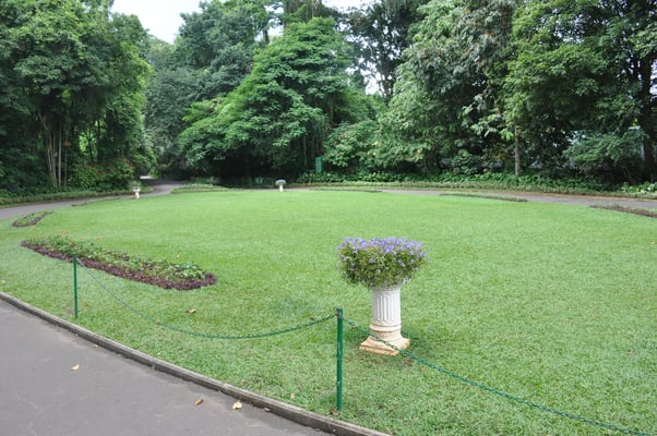 Sri Lanka, Kandy, Royal Botanic Gardens