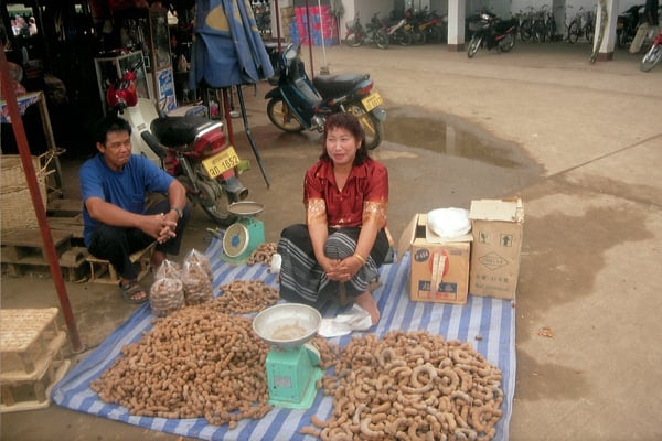 Laos, Dorf Ban Phanom