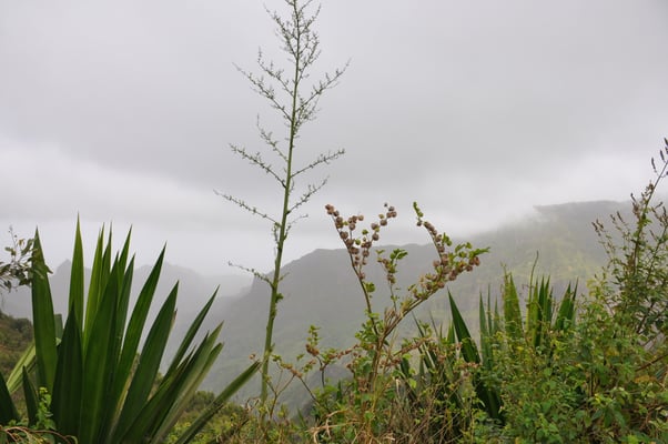 Kap Verden, Insel Santiago, Nationalpark "Serra Malagueta"