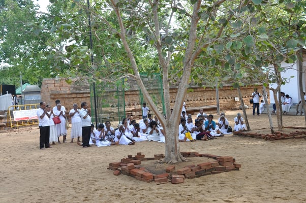 Sri Lanka: Anuradhapura, Jaya Sri Maha Boddhi