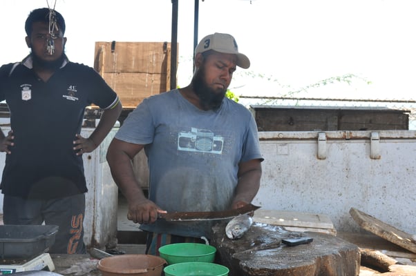 Sri Lanka, Hambantota