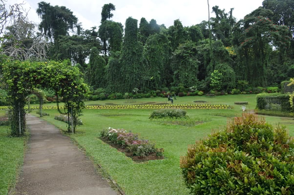 Sri Lanka, Kandy, Royal Botanic Gardens