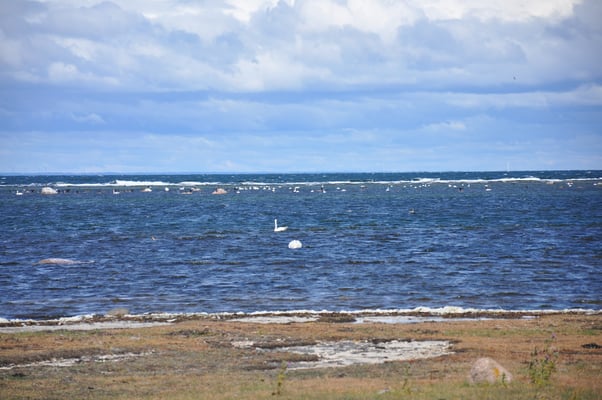 Schweden, Öland, Leuchtturm, Lange Jan