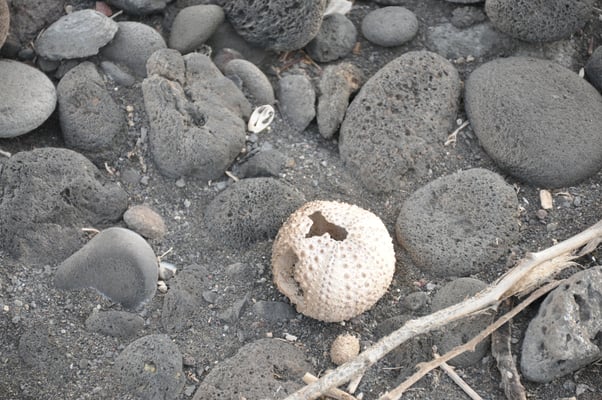 Kap Verden, Insel Santo Antao
