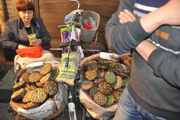 China, Xi'an , Altstadt, Lotuswurzeln