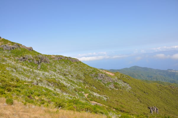 Madeira, Wanderung zum Vereda do Pico Ruivo