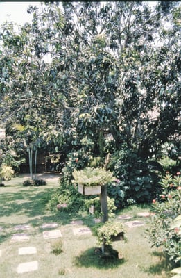 Thailand, Nakhon Sawan