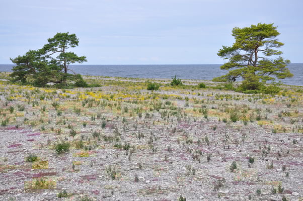 Schweden, Insel Farö, Rauk Gebiete