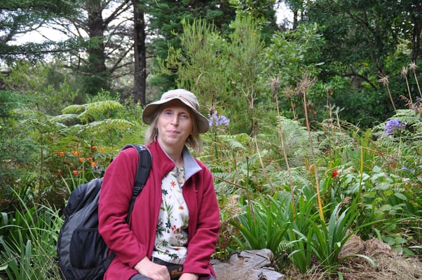 Madeira, Wanderung Levada do Furado