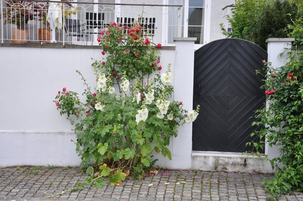 Schweden, Gotland, Visby mit Kathedrale und Stadtmauer