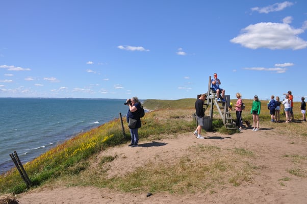 Schweden, Ales Stenar