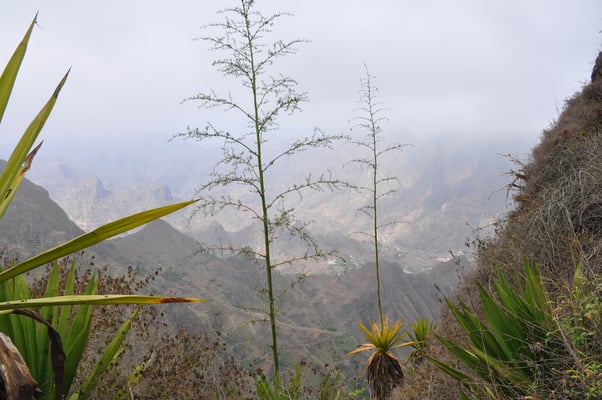 Kap Verden, Insel Santo Antao, Ponta do Sol
