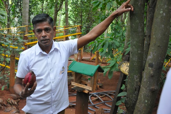 Sri Lanka, Matale, Gewürzgarten