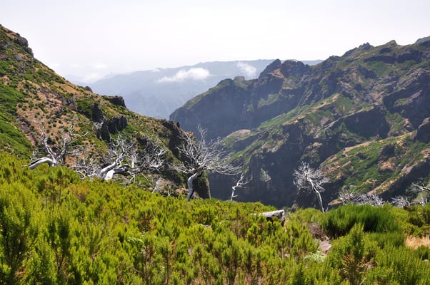 Madeira, Wanderung zum Vereda do Pico Ruivo