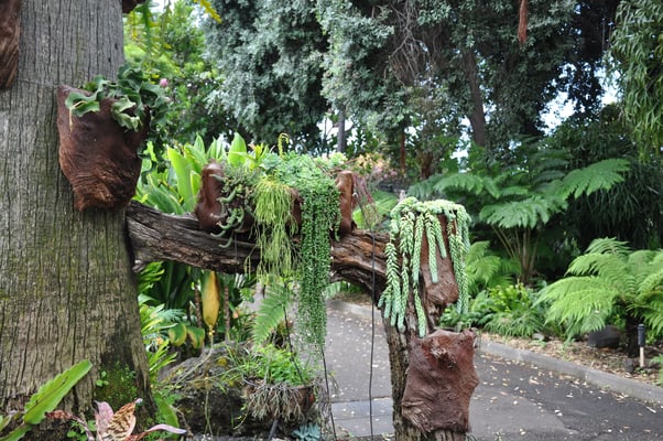 Madeira, Funchal, Villa Quitas das Cruzas, Jardins do Lago