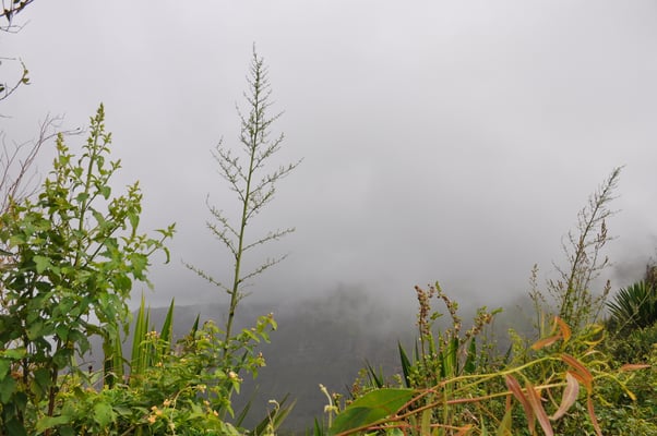 Kap Verden, Insel Santiago, Nationalpark "Serra Malagueta"