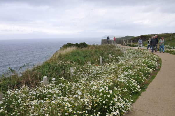Irland, Nordirland, Giants Causeway