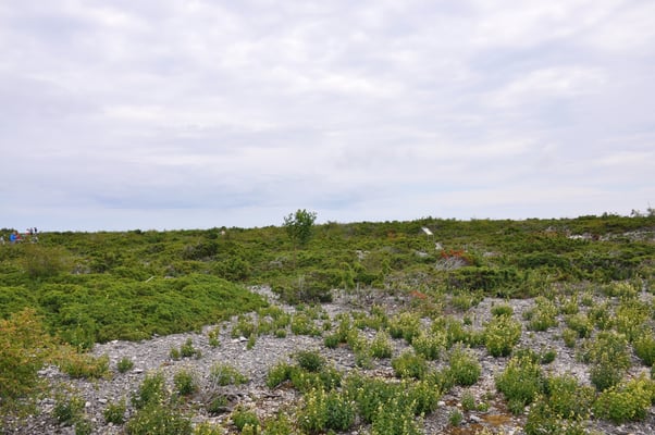 Schweden, Insel Farö, Rauk Gebiete