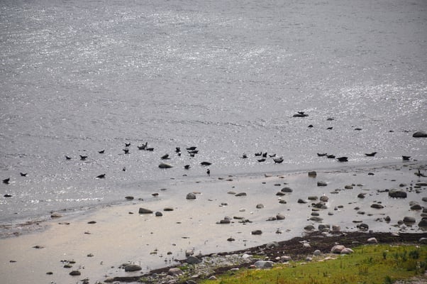 Schweden, Öland, Blick vom Leuchtturm, Lange Jan