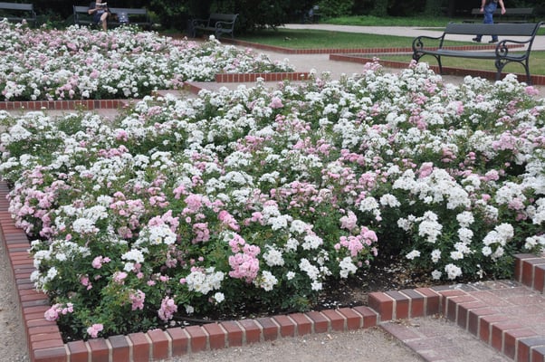 Polen: Warschau: Schloss Belvedere