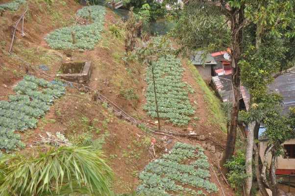 Sri Lanka, Auf dem Weg nach Nuwara Eliya