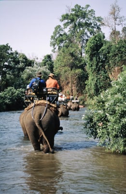 Thailand, Elefantencamp