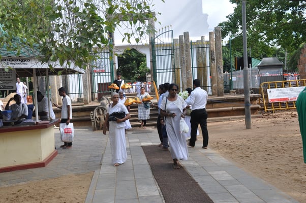 Sri Lanka: Anuradhapura, Jaya Sri Maha Boddhi