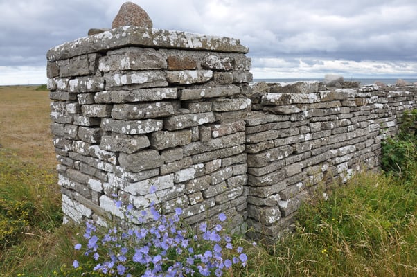 Schweden, Öland, Jagdmauer von König Gustav Adolph
