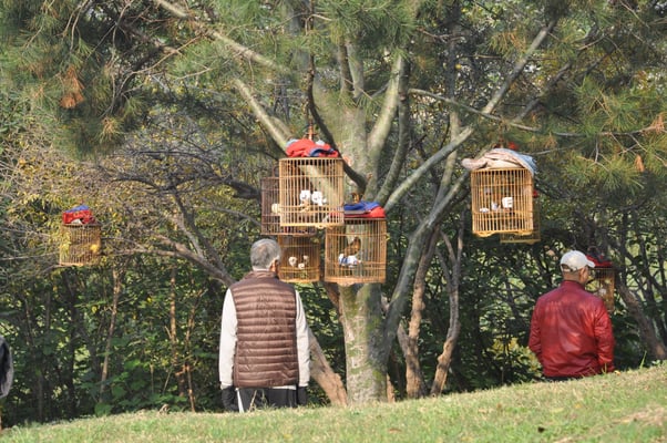China, Xi'an, Stadtmauerpark