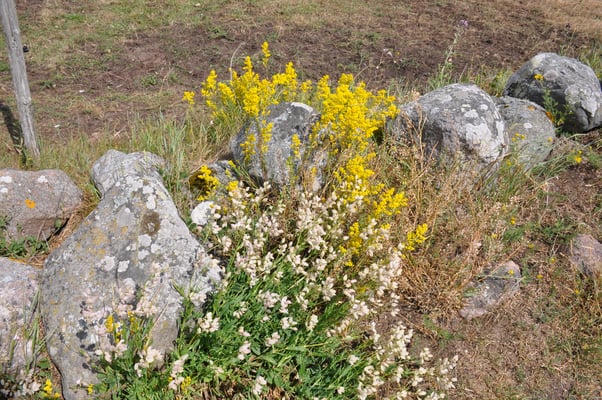 Schweden, Öland, St. Brigittas Kapelle