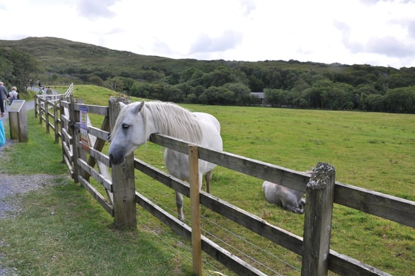Irland, Connamara Nationalpark