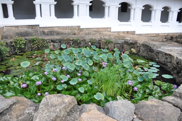 Sri Lanka, Goldener Höhlentempel von Dambulla