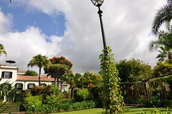 Madeira, Funchal, Villa Quitas das Cruzas, Jardins do Lago