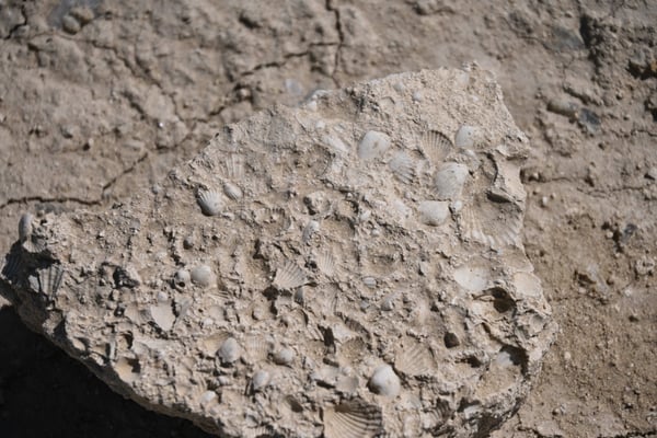 Turkmenistan, Überreste riesiger Korallenriffe aus dem Tetris Meer