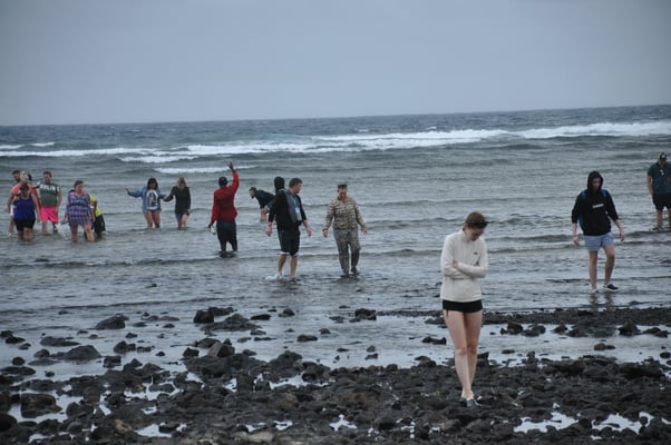 Kap Verden, Insel Sal, Haifischbucht